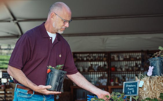 Vertical Farming Specialists: Urban Agriculture Experts