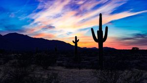 Desert Photography: Dune Light Workshops