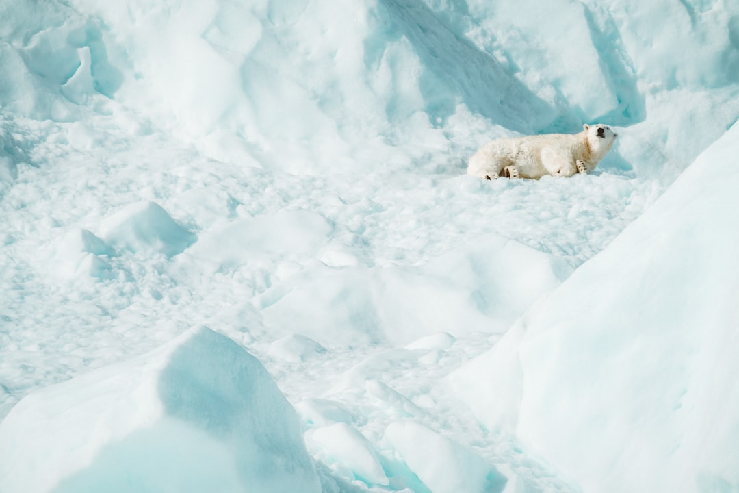 Arctic Culture Immersion: Inuit Life Experience