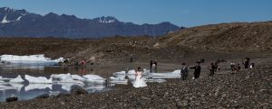 Remote Island Survival: Pacific Skills Training